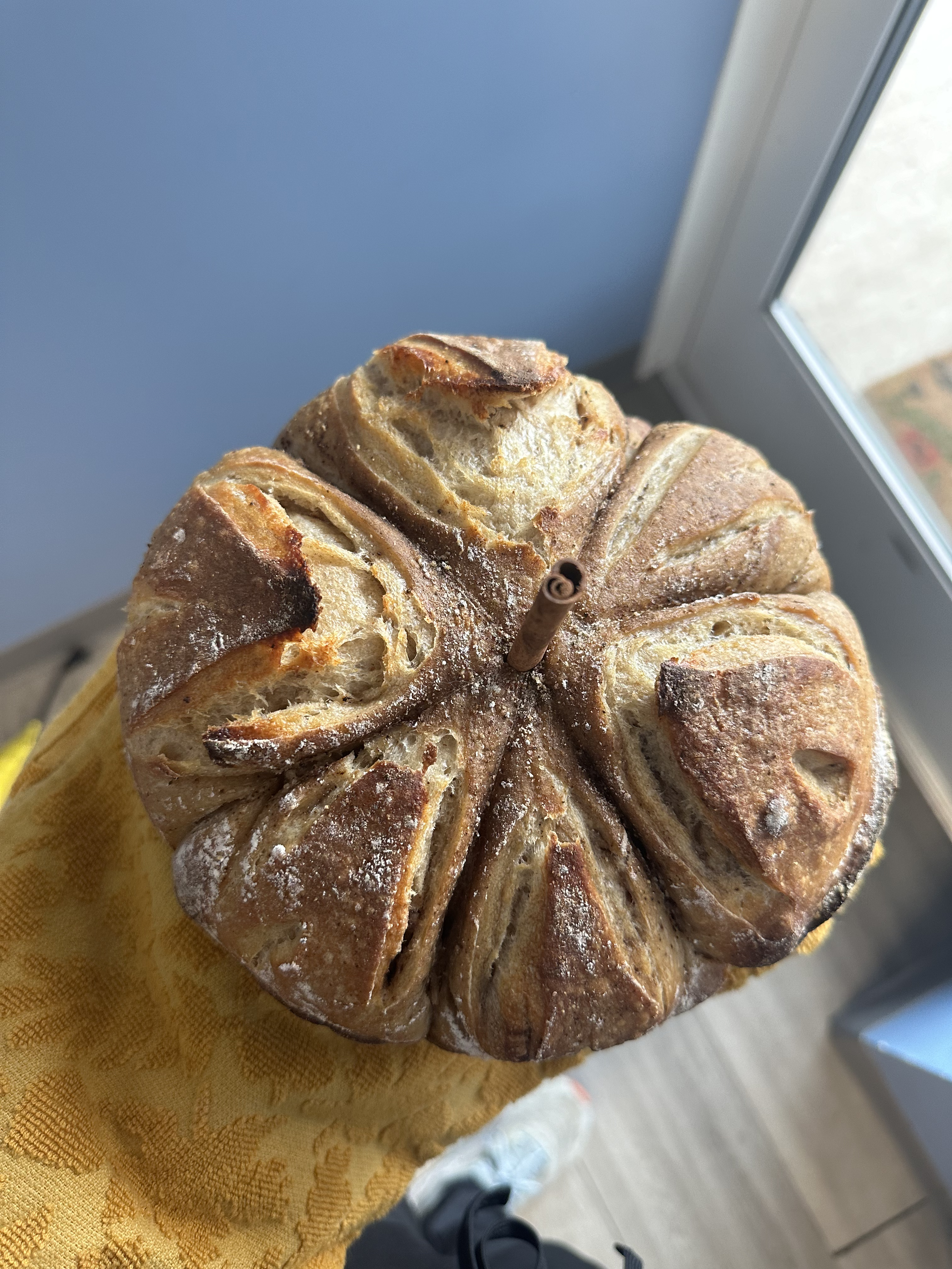 Sourdough Pumpkin Bread